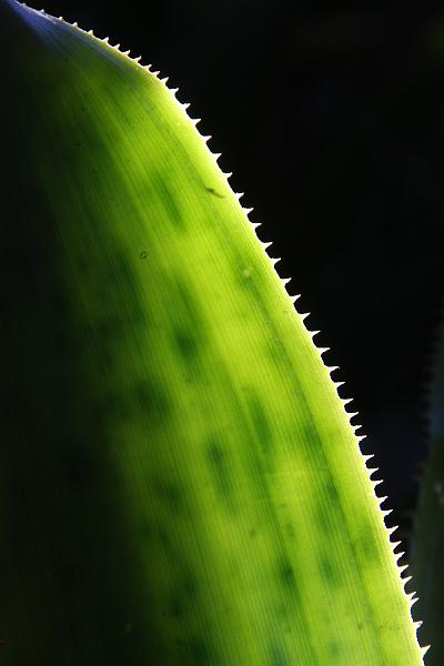 IMG_0398.JPG